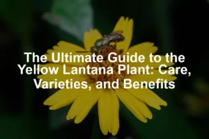 Featured image for The Ultimate Guide to the Yellow Lantana Plant: Care, Varieties, and Benefits