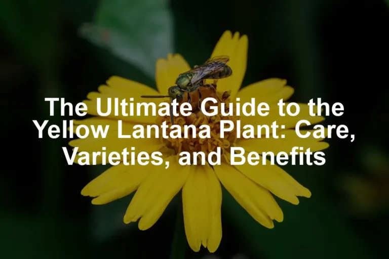 Featured image for The Ultimate Guide to the Yellow Lantana Plant: Care, Varieties, and Benefits