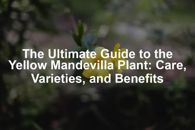 Featured image for The Ultimate Guide to the Yellow Mandevilla Plant: Care, Varieties, and Benefits