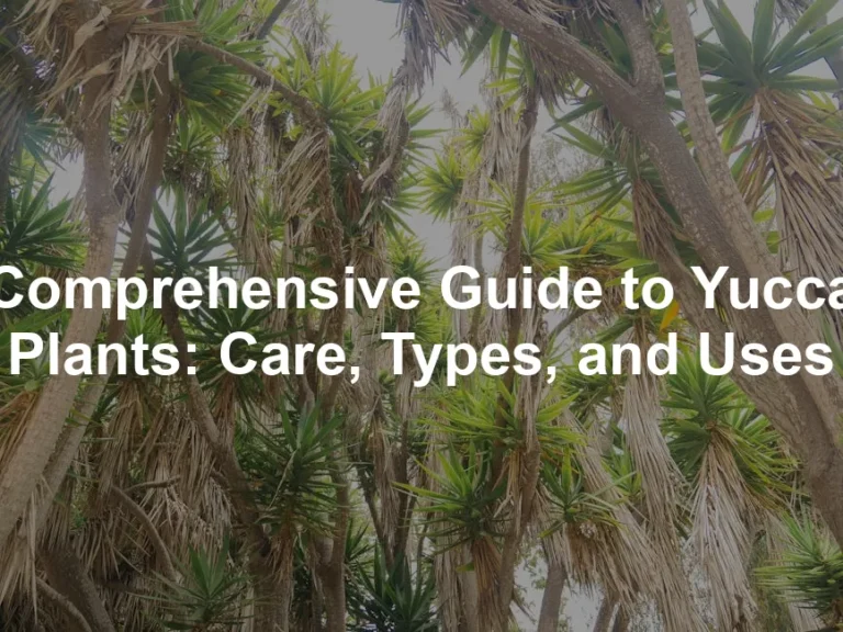 Featured image for Comprehensive Guide to Yucca Plants: Care, Types, and Uses